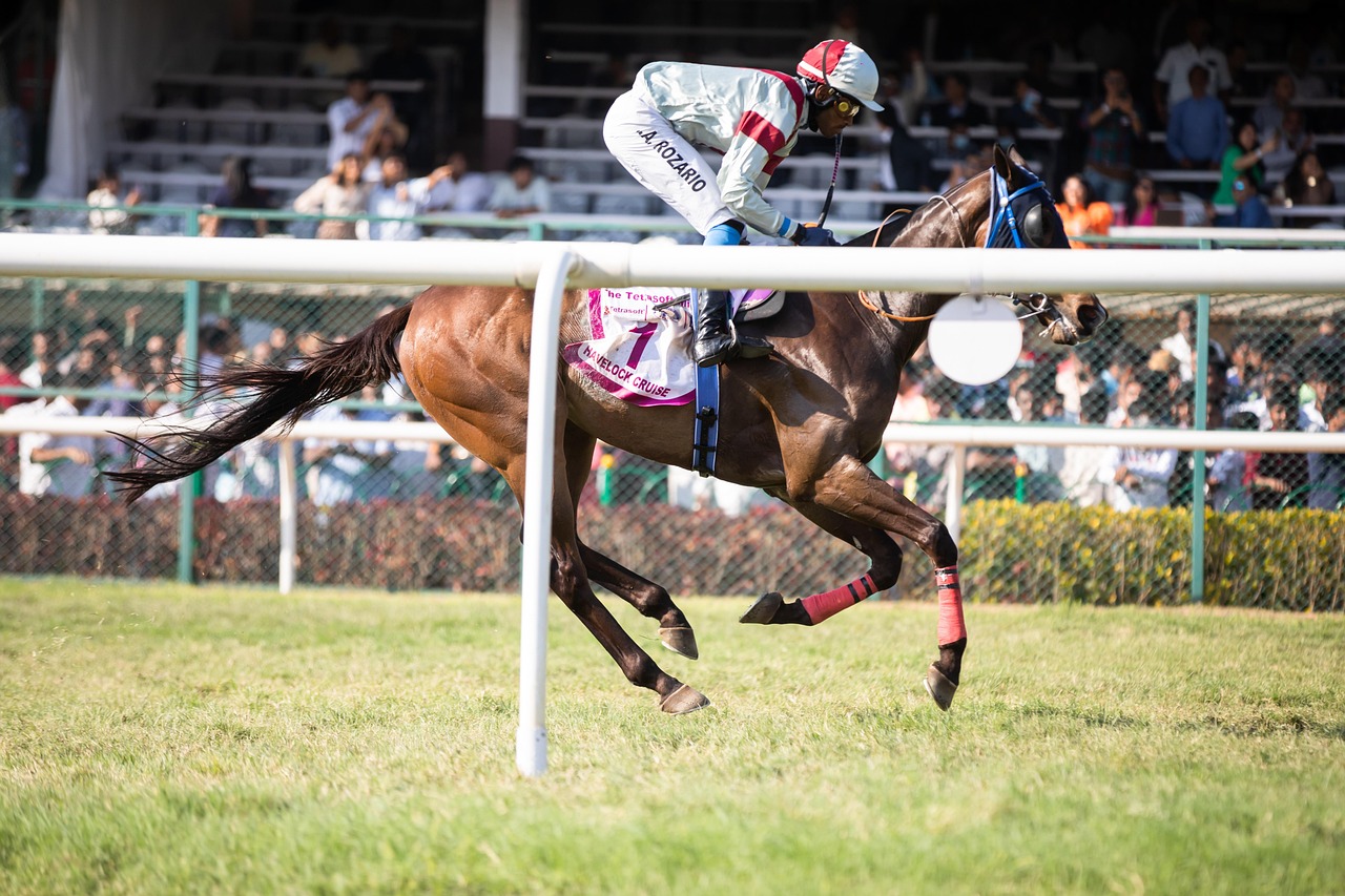 Is Premium Legal Indian Horse Racing Betting Legal in India? Complete 2026 Guide